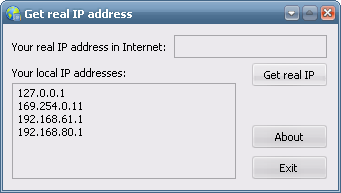 Скриншот программы Get My IP